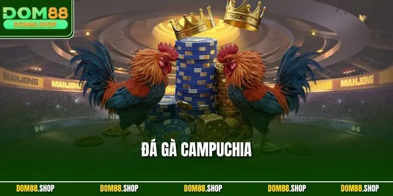 Đá Gà Campuchia