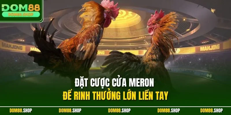 Đặt cược cửa Meron để rinh thưởng lớn liền tay