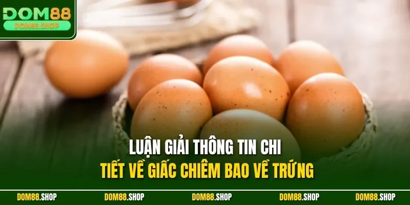 Luận giải thông tin chi tiết về giấc chiêm bao về trứng